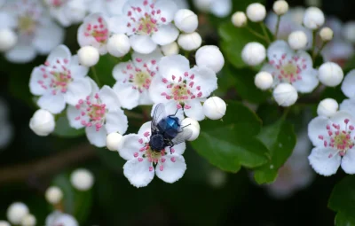 Today's Puzzle — 01.06.2026