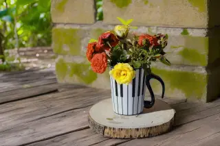 Roses on Piano Mug