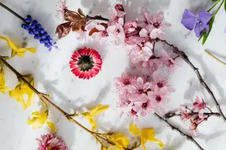 Spring Collage