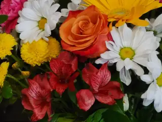 A little touch of Spring on a gloomy cold day