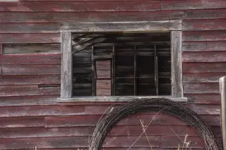 A window to our past