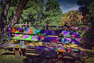 A colorful bench
