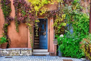 Rustic Doorway with Vines