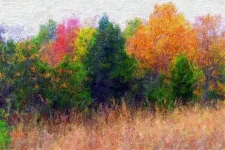 Autumn Color Palette