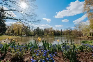 Spring Landscape