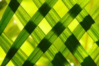 Woven Green Leaves Pattern