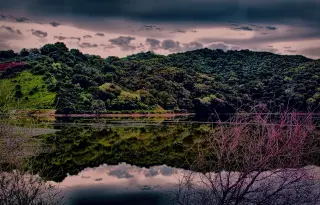 The reservoir