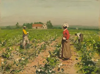 William Gilbert Gaul (1890) - Picking Cotton