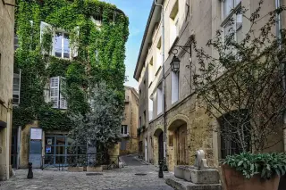 Ivy-Draped Cobblestone Alley