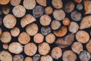 Stacked Wood Logs Texture