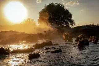 Buffalo Dawn Crossing
