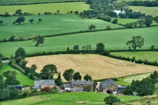 Farmland