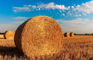 Hay Bale Landscape